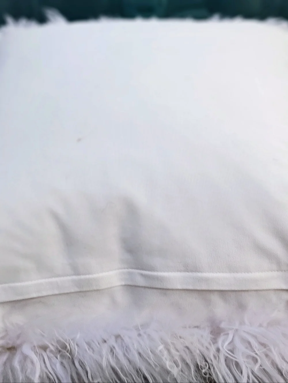 West Elm Furry Pillow